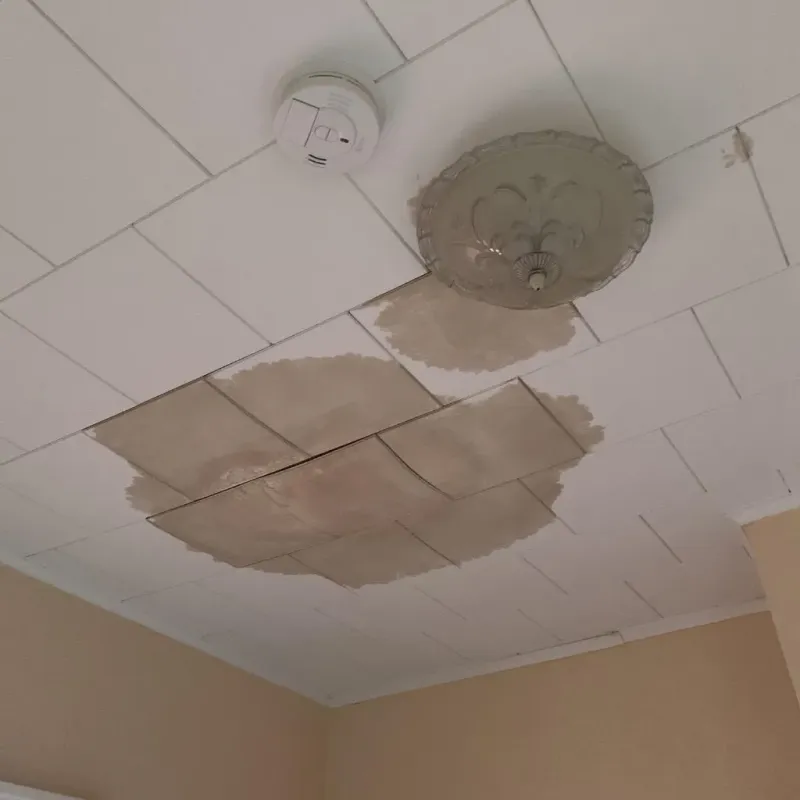 Ceiling Water Damage Repair in Pulaski, TN