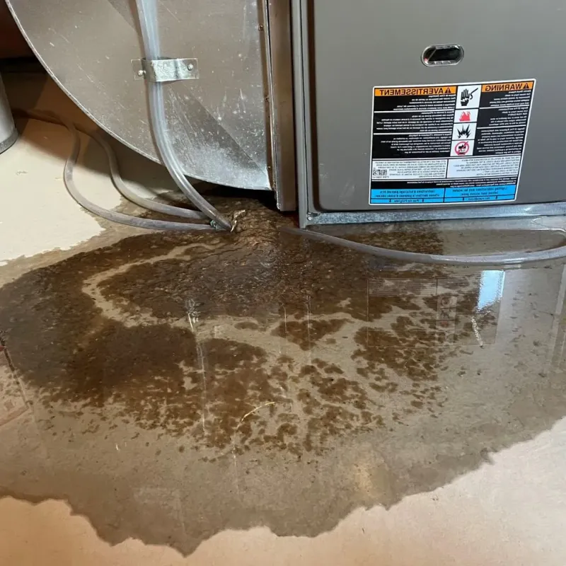 Pipe Burst and Leak Restoration in Pulaski, TN