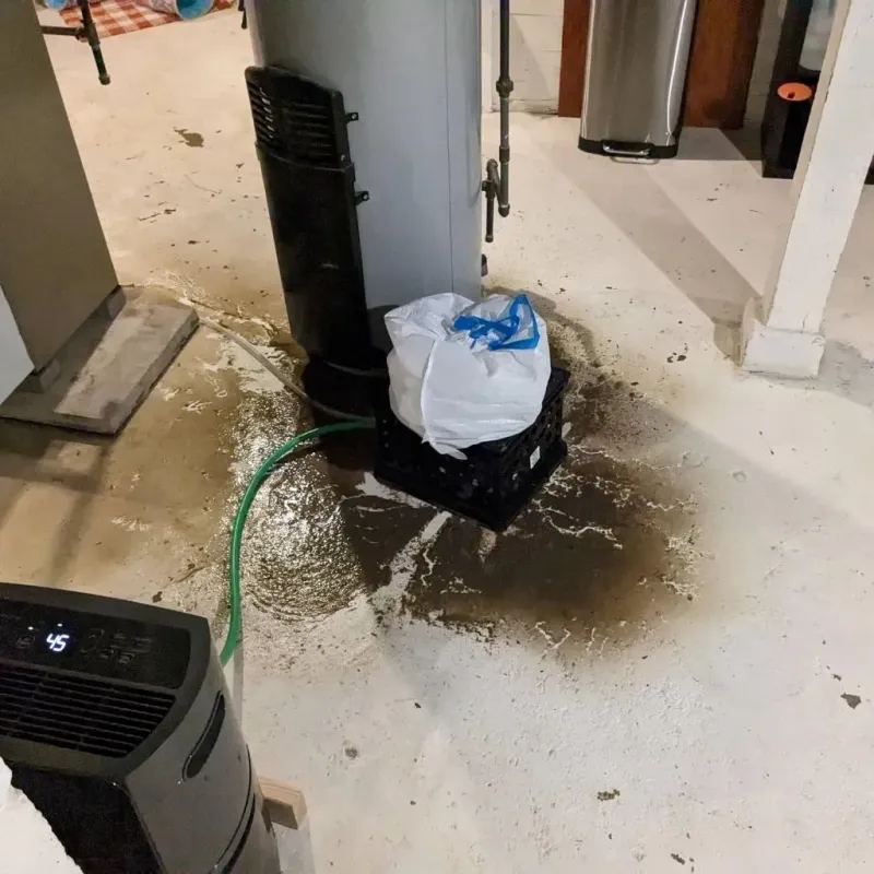 Sewage Backup Cleanup Service in Pulaski, TN